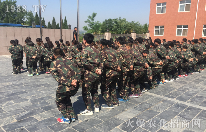 ���w�O�޵�����(zh��n)�������ϴ�Y