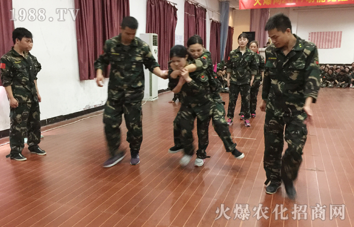 ��������������w�ĵتz