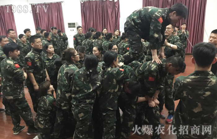 ��Ҫ�M��������ֻҪȫ���Ը���