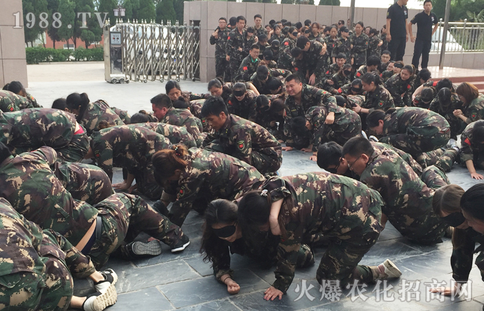 ÿһ�N��ʹ�����ի@��ÿһ�Κv�̶��ǳ��L