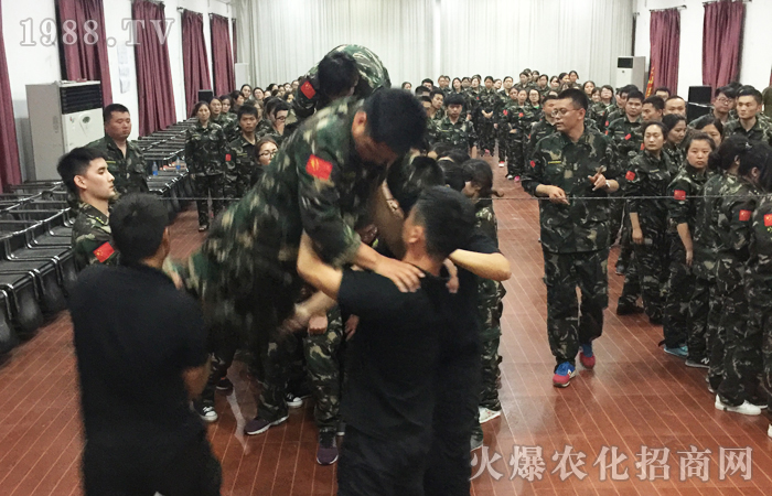 ��������·����������ǰ��