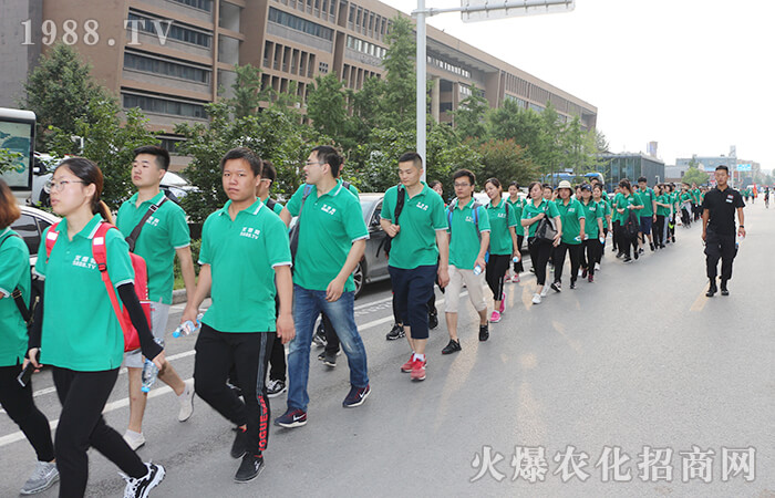 ͽ������