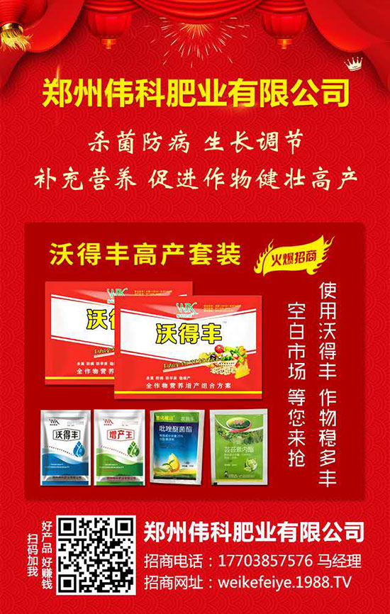     �����ƷʘI(y��)��ףȫ��(gu��)�r(n��ng)�Y��ʿ��ϲ�l(f��)ؔ(c��i)������옷(l��)��