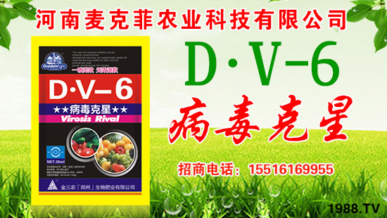 �����˷��r(n��ng)�I(y��)��ףȫ��(gu��)��(j��ng)�N�����w�������f��������