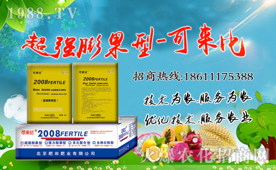 ������ʘI(y��)��ףȫ��(gu��)���Ѻ��¶����Ц�ݶ�࣡