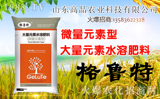 ��ɽ�|��Ʒ���o��Ұ�������ף��ؔԴ�V�M�������³����f�����⣡