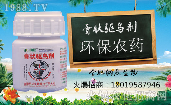 ���{�����ף���i���д��\��ؔ�\�L�L����