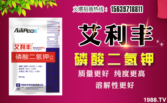 ���Խ�r(n��ng)�I(y��)��ף������µ�һ����ؔ(c��i)�\(y��n)�L�L������������