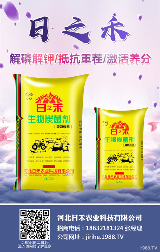 2019小麥什么時候種植，小麥種植注意要點！