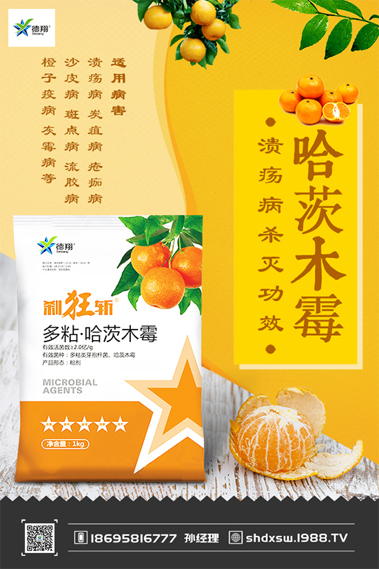 甘藍黑斑病危害這么大，到底該如何防治？快來看看吧！