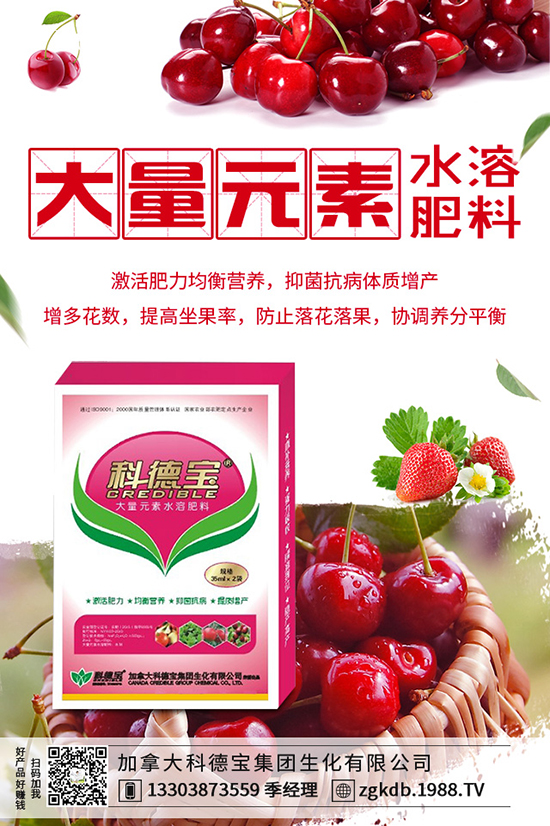 反季節(jié)種金針菇如何培育，反季節(jié)金針菇培育方法！