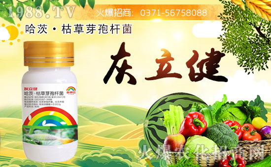 ���Ͽ���ɭ�𱬁��u���ٺ����r(n��ng)�����̾W(w��ng)�_��(chu��ng)���x�ͣ�