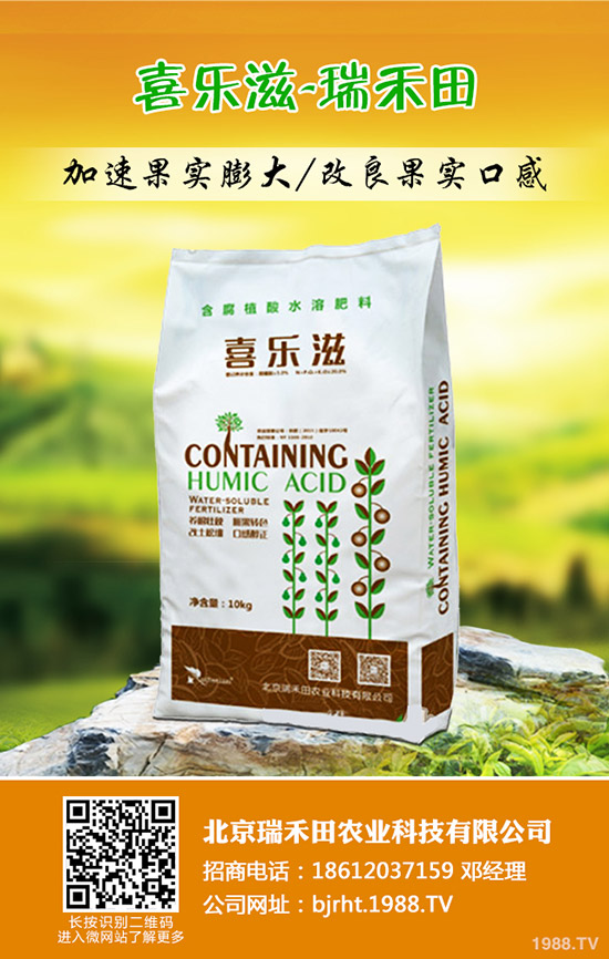 大蒜什么時候種植，大蒜種植方法是什么？