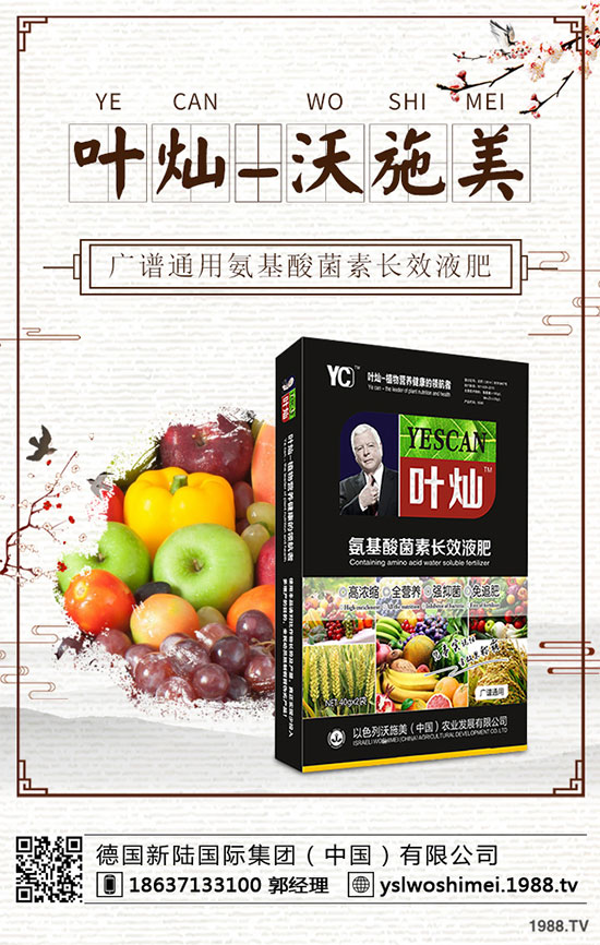 冬小麥為什么出現(xiàn)黃苗，死苗？冬小麥黃苗，死苗防治措施！