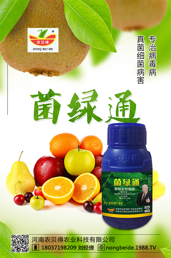 小麥如何正確選種？不知道如何選種的看這里！