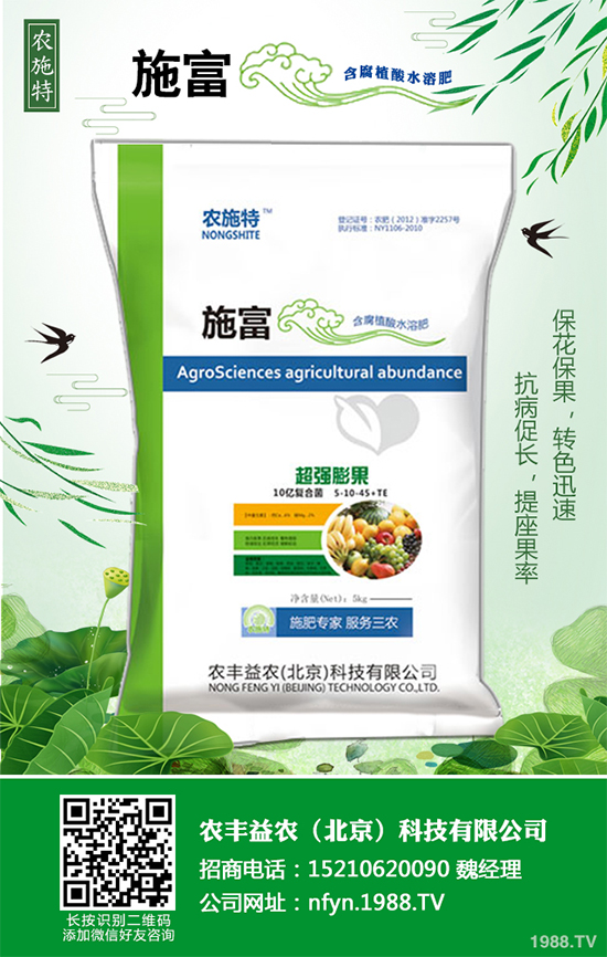 香蔥該如何栽培？秋茬香蔥高產(chǎn)技術(shù)要點