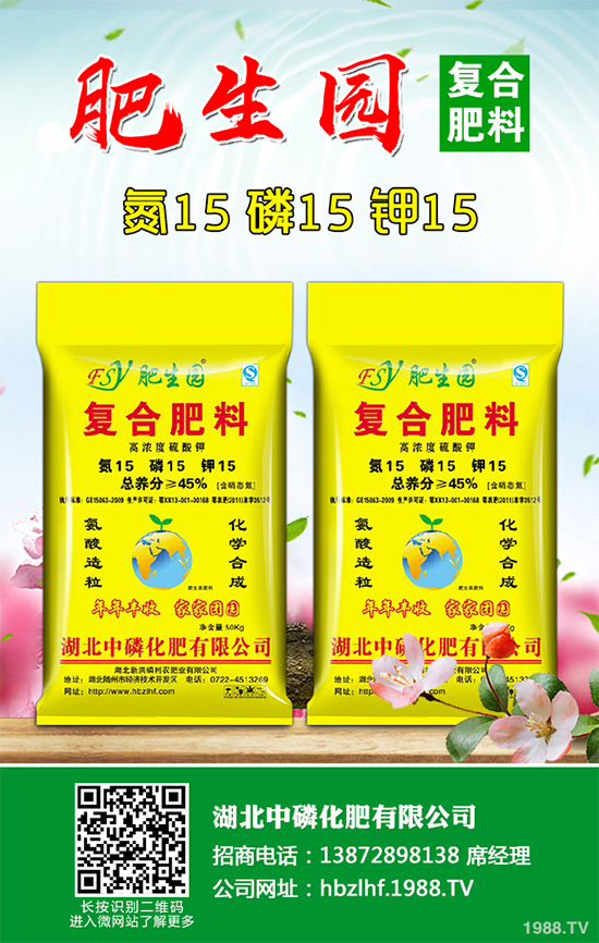 香菜如何施肥產(chǎn)量更高？秋茬香蔥高產(chǎn)施肥方案