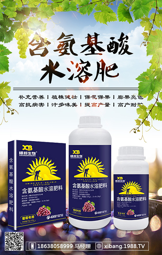 香蔥常見病害有哪些？香蔥病蟲害防治技術(shù)大全