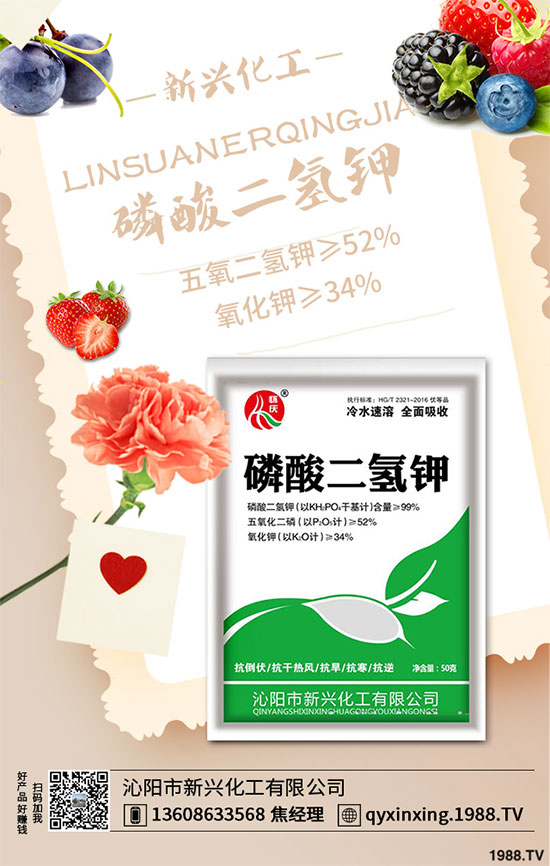 香蔥連作危害大，到底該如何解決？香蔥連作障礙及高產(chǎn)管理技術(shù)！