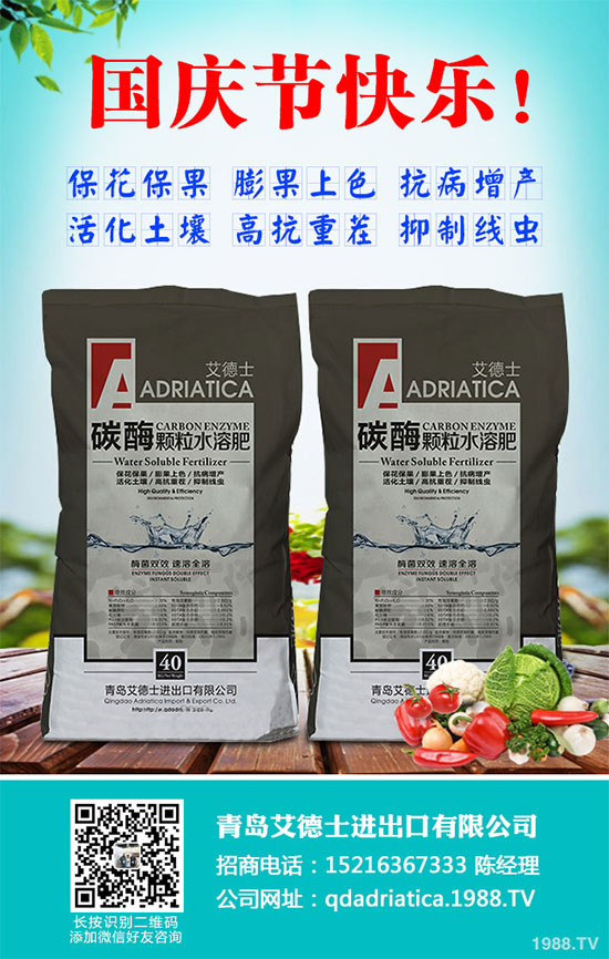 香蔥連作危害大，到底該如何解決？香蔥連作障礙及高產(chǎn)管理技術(shù)！