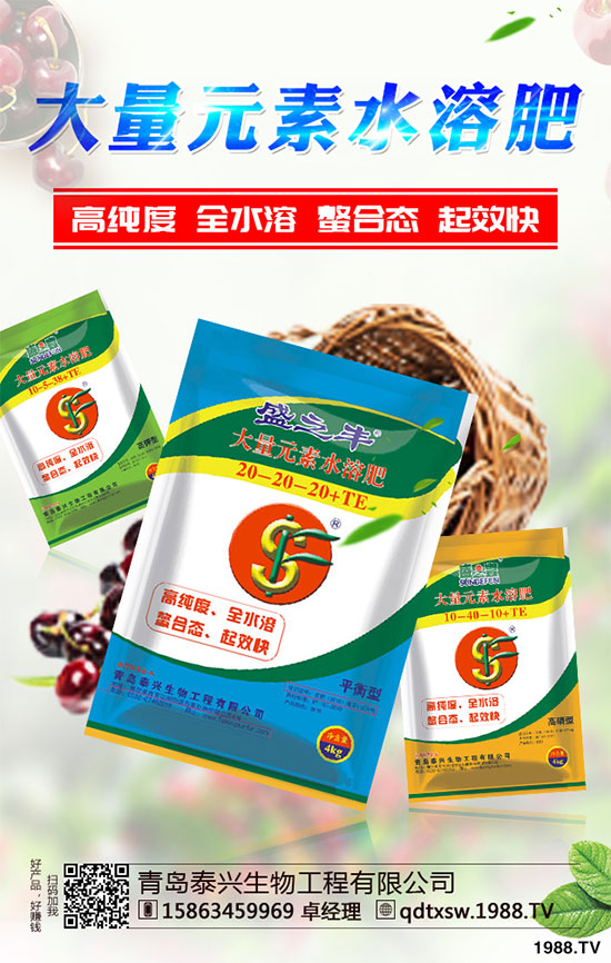 白菜根腐病有哪些危害癥狀？該如何防治？白菜根腫病的識別與防治！