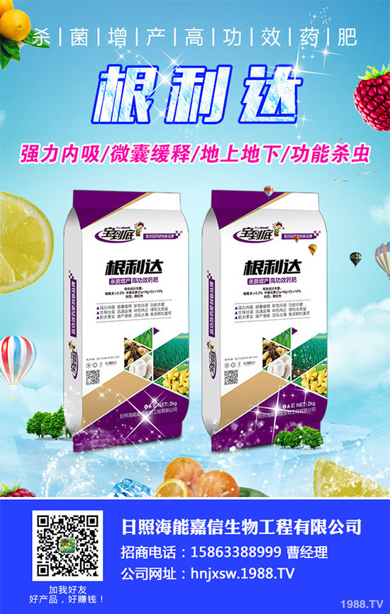 白菜根腐病有哪些危害癥狀？該如何防治？白菜根腫病的識別與防治！