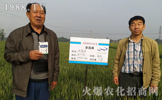 節(jié)節(jié)麥如何防除，用什么藥？