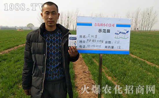 節(jié)節(jié)麥如何防除，用什么藥？