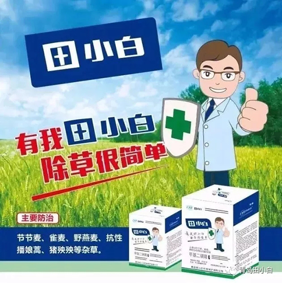 節(jié)節(jié)麥如何防除，用什么藥？怎么打藥效果好？