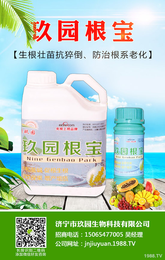 �������x��η����������x��Σ�����l(f��)��Ҏ(gu��)�ɣ�