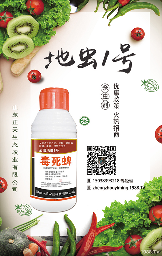 �����}����ηNֲ�������}����Ҫע��ʲô��