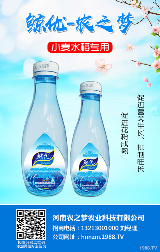 番茄缺鈣是什么表現(xiàn)？番茄補鈣措施！