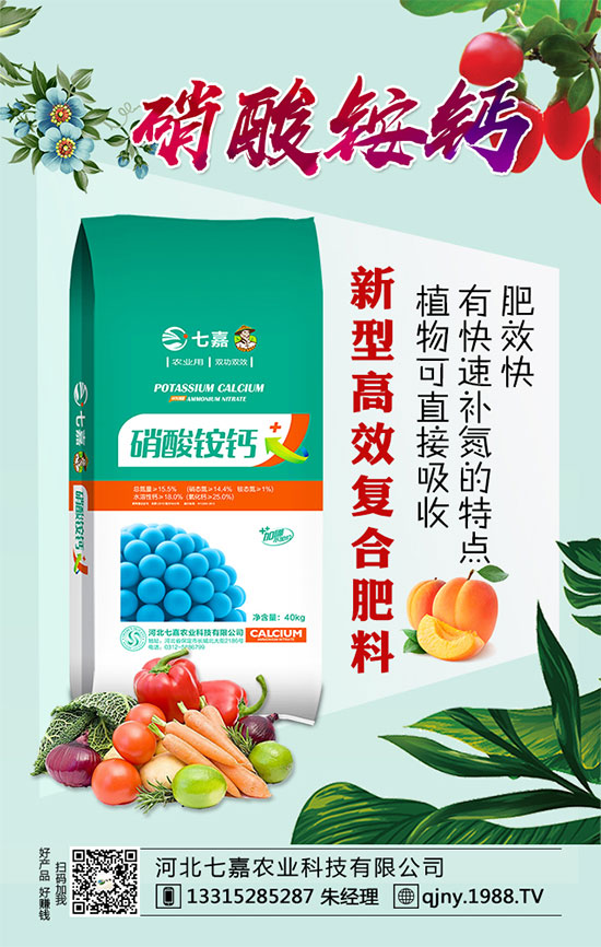 核桃黑斑病怎么辦？核桃黑斑病的癥狀及防治方法