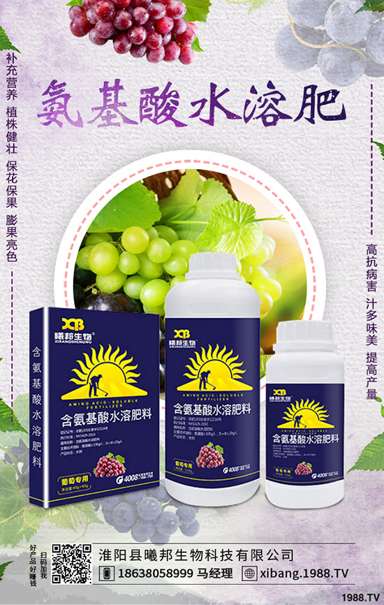 秋季蘿卜怎么種植，秋季蘿卜種植技術及栽培要點！