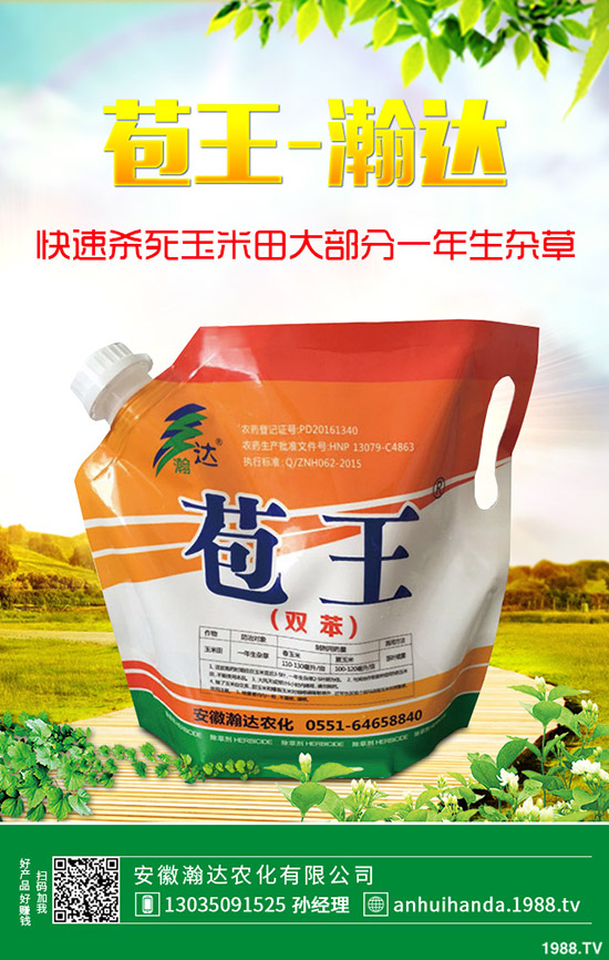 石楠花怎么種植？石楠花的養(yǎng)殖方法！