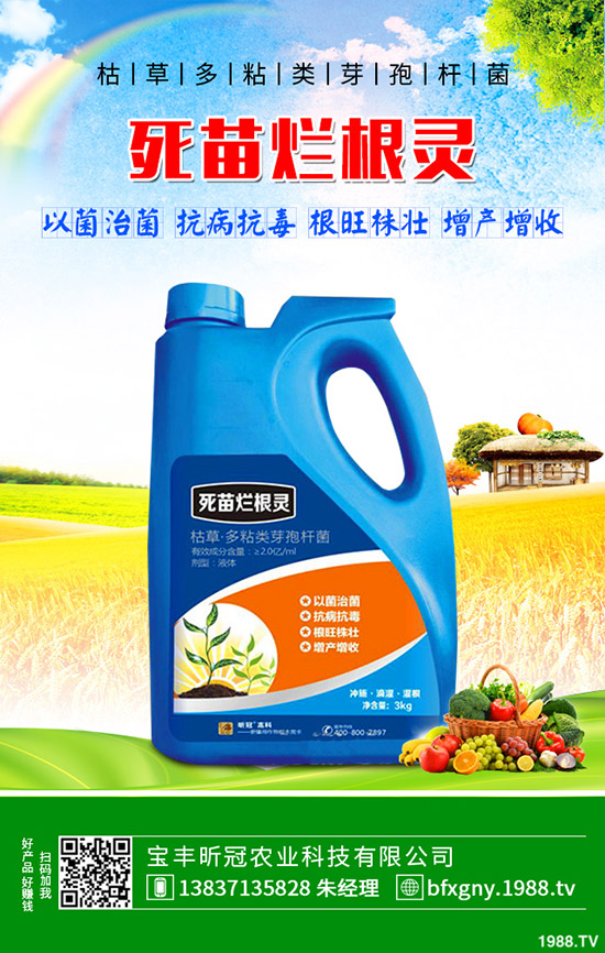 怎么種植羅漢果，羅漢果種植方法介紹！