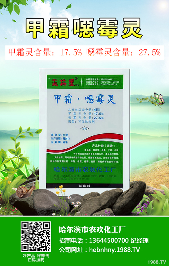 冬瓜得了白粉病怎么辦？冬瓜白粉病防治措施！