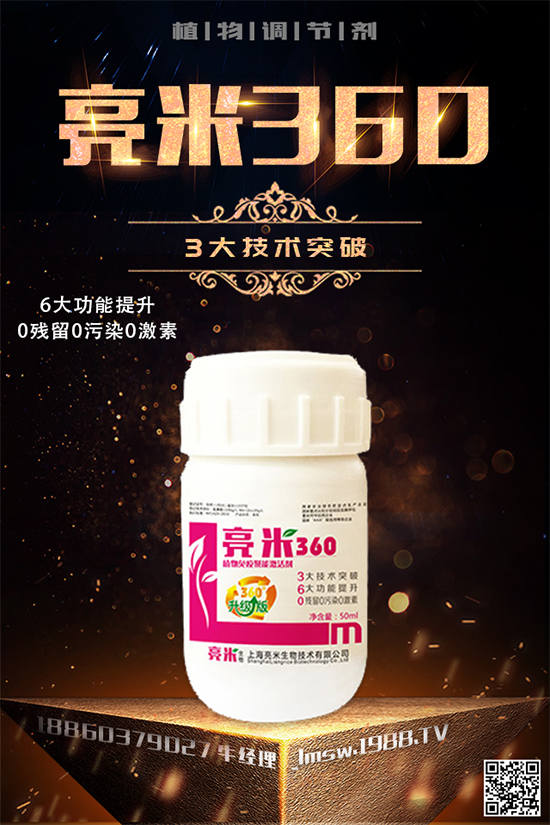 穿心蓮有哪些生長(zhǎng)習(xí)性？穿心蓮葉的種植技術(shù)！