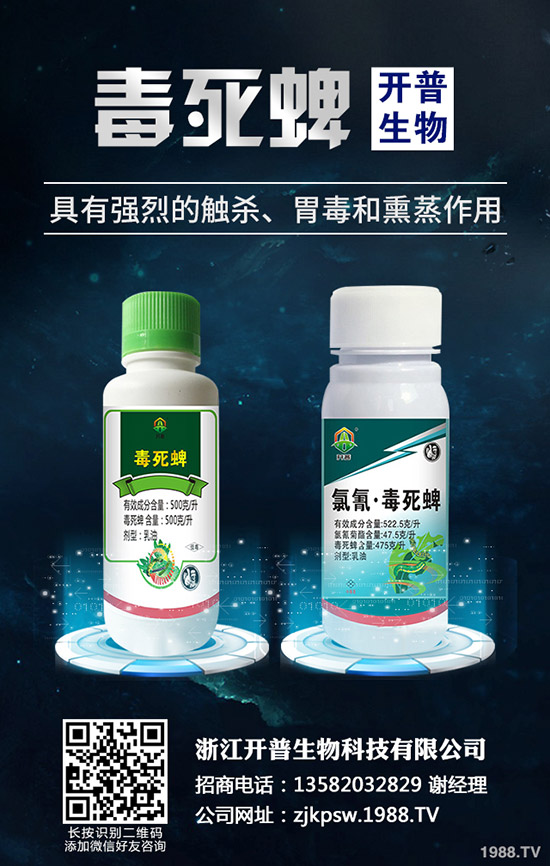 秋季種植哪些蔬菜好，秋季蔬菜種植指南！