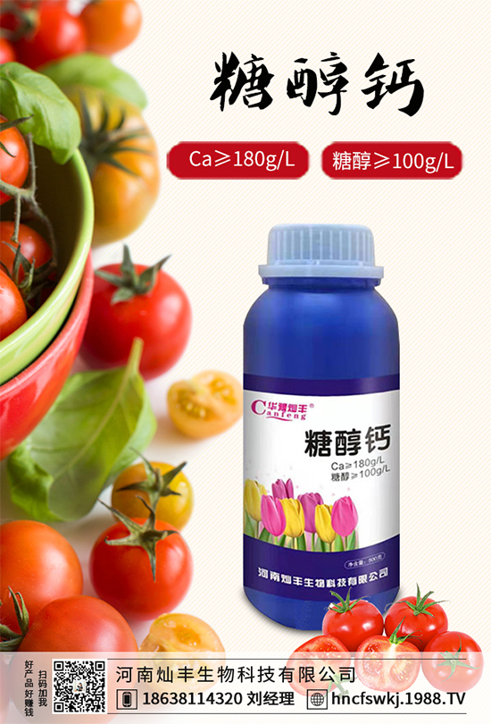 甘藍(lán)立枯病來襲，到底該如何防治？甘藍(lán)立枯病防治措施