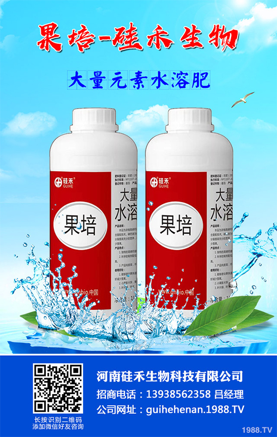 甘藍(lán)黑腐病是如何發(fā)生的？有哪些危害？甘藍(lán)黑腐病綜合防治方案