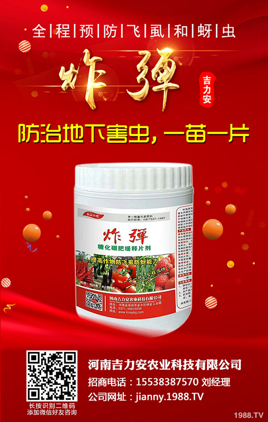 芹菜的功效與作用，哪些人不能吃芹菜？