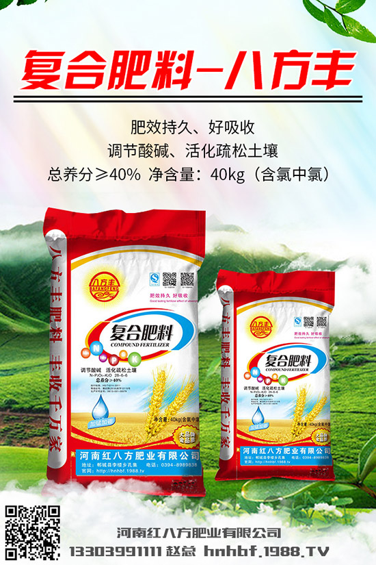 芹菜怎么種？芹菜什么時(shí)候種植好？芹菜種植時(shí)間和方法！