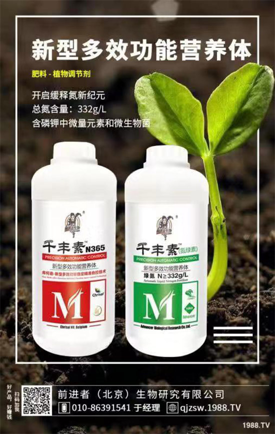 花生爛果怎么回事？花生爛果的防治措施！