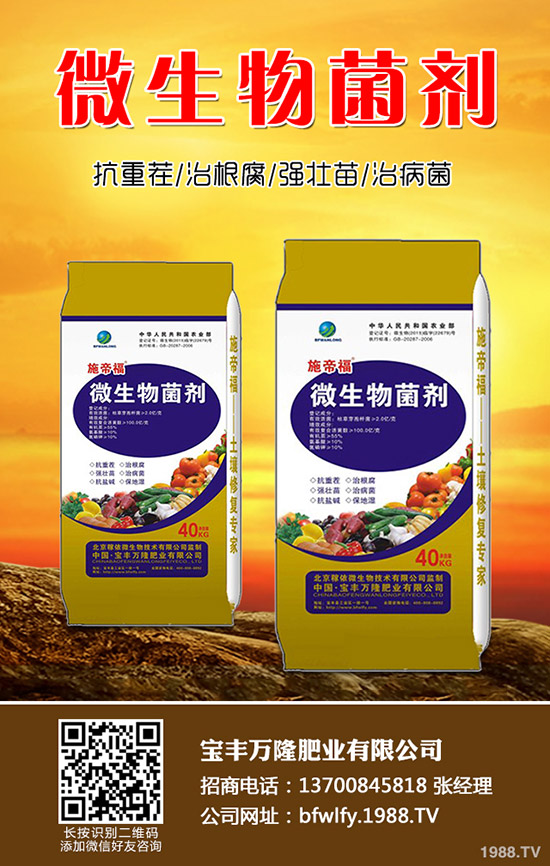 黑豆什么時(shí)候種植，黑豆收獲時(shí)間及種植方法！