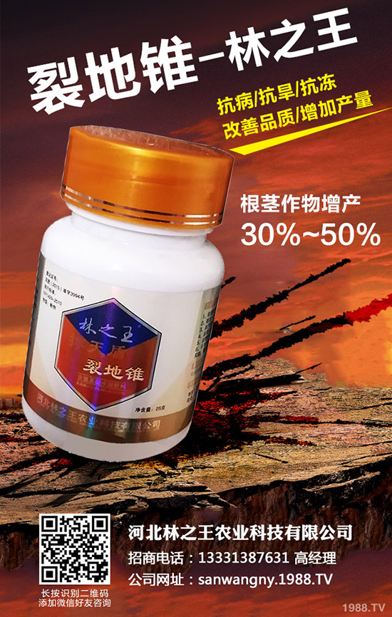 苦瓜裂果是怎么回事，苦瓜裂果防治措施！