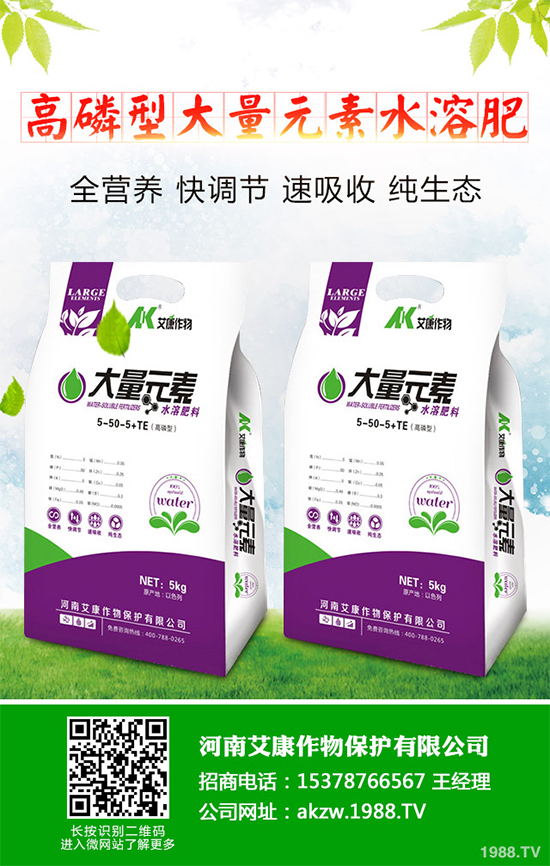 鹽堿地能種植棉花嗎？鹽堿地植棉高產(chǎn)技術(shù)