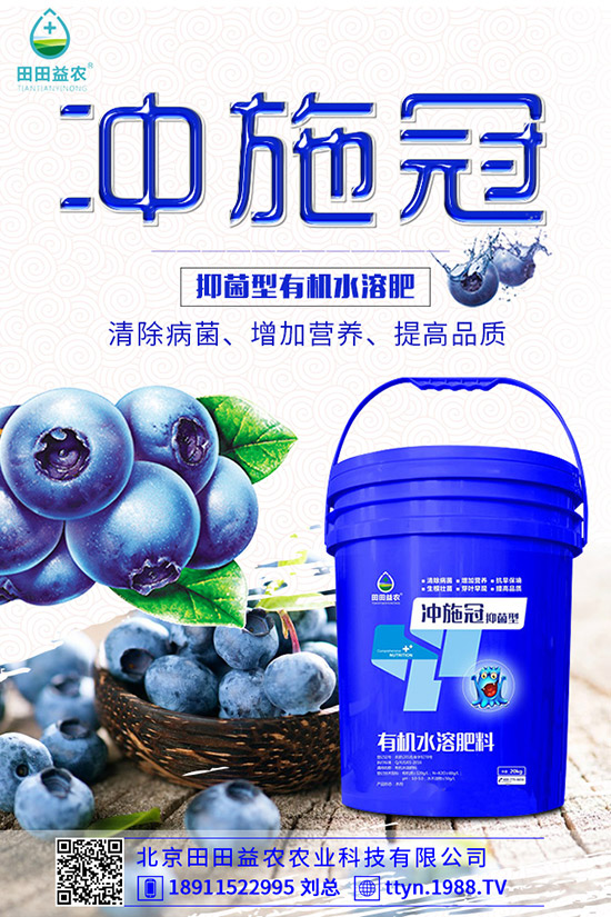 南瓜什么時候種植，南瓜的種植要點有哪些？