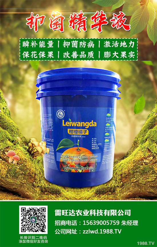 2020年種植水稻能掙錢嗎？2020年水稻種植前景