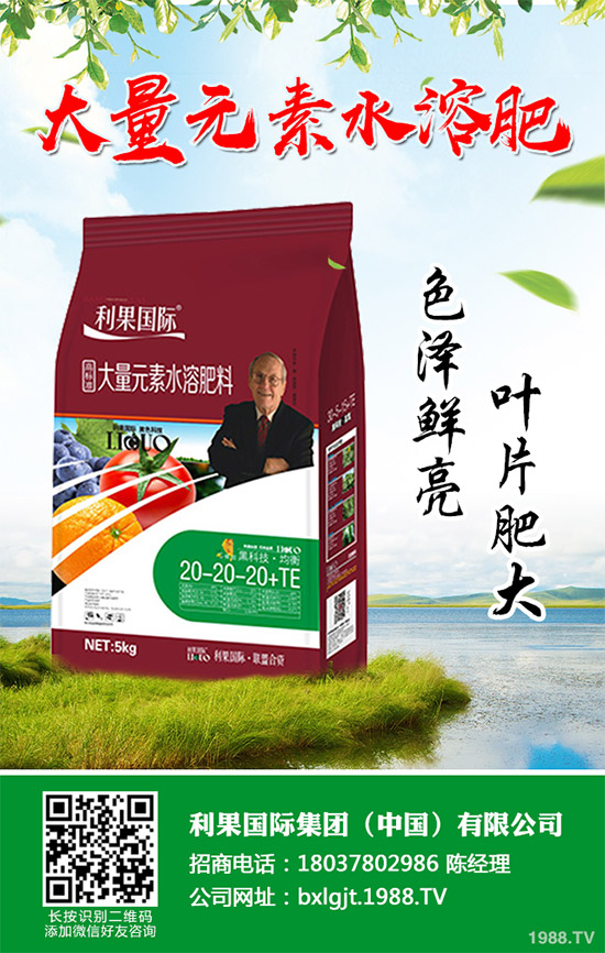 2020年種植水稻能掙錢嗎？2020年水稻種植前景